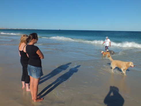 On The Beach With The Dogs Near Freemantle